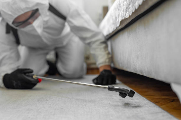 Professional Cockroach Control technician working in Cambridge City, IN